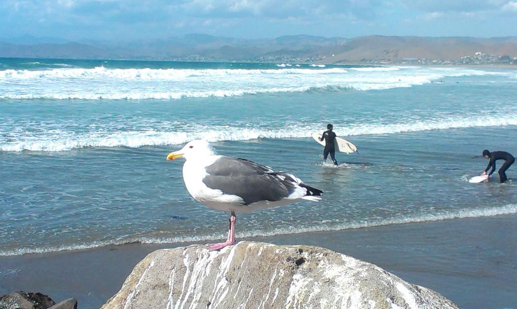 Morro Crest Inn Morro Bay Luaran gambar