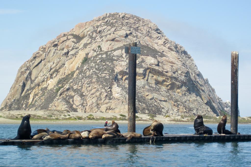 Morro Crest Inn Morro Bay Luaran gambar