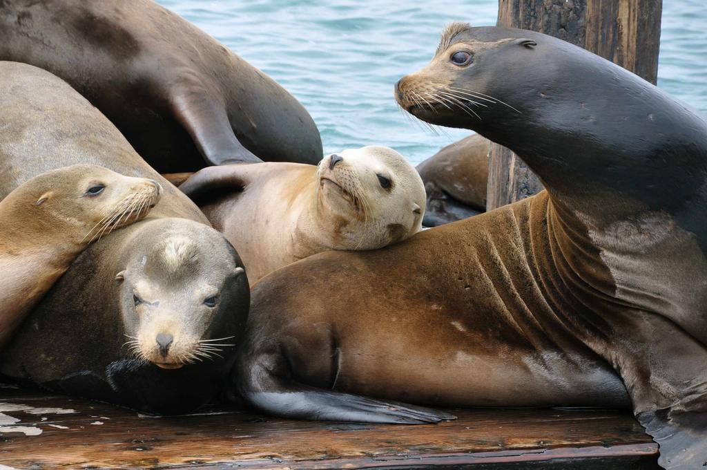 Morro Crest Inn Morro Bay Luaran gambar